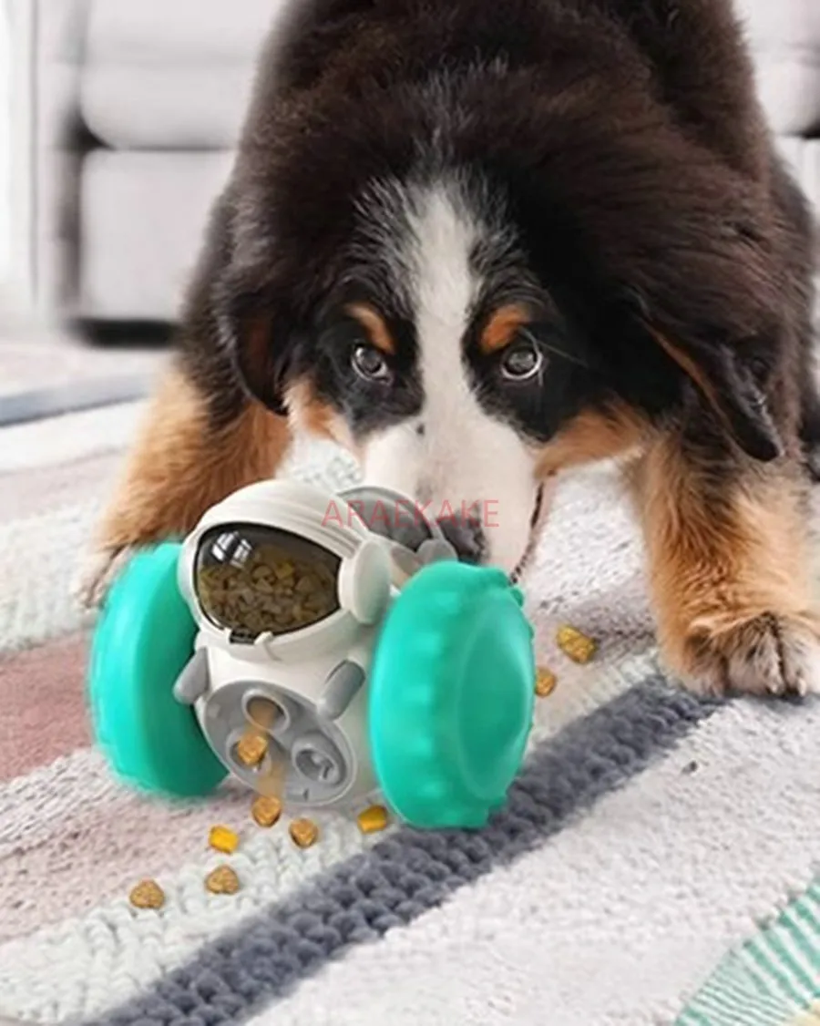 Dog toys, puzzle interactive, self fun, relieve boredom, bumpkins, food trucks, cats
Dog toys, puzzle interactive, self fun, relieve boredom, bumpkins, food trucks, cats