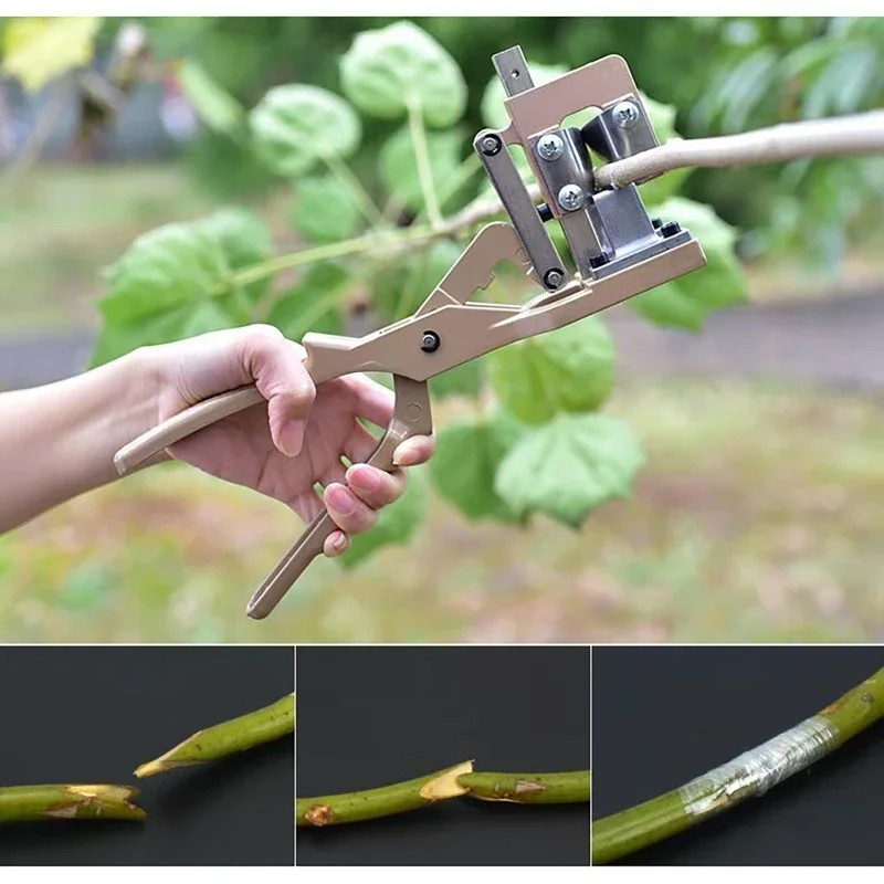 Thick Branches Grafting Pruning Tools Garden Tool Branch Cutter Secateur Pruning Plant Grafting Scissors Fruit Tree Plant Shears
Thick Branches Grafting Pruning Tools Garden Tool Branch Cutter Secateur Pruning Plant Grafting Scissors Fruit Tree Plant Shears