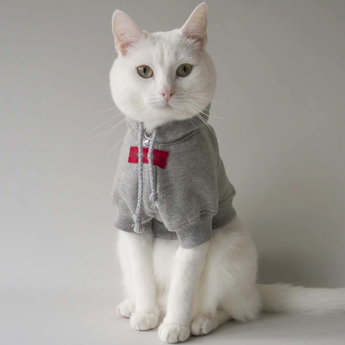 12 pcs Small 14Mm Golden Silver For Cat Loose Beads Dog Collar Diy Craft Accessories Pet Supplies
12 pcs Small 14Mm Golden Silver For Cat Loose Beads Dog Collar Diy Craft Accessories Pet Supplies