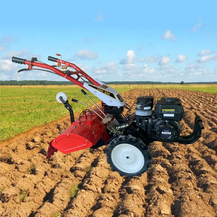 【Hot】Factory Supply Rotary Tiller Mini Cultivator Agriculture Mini Power Tiller
【Hot】Factory Supply Rotary Tiller Mini Cultivator Agriculture Mini Power Tiller