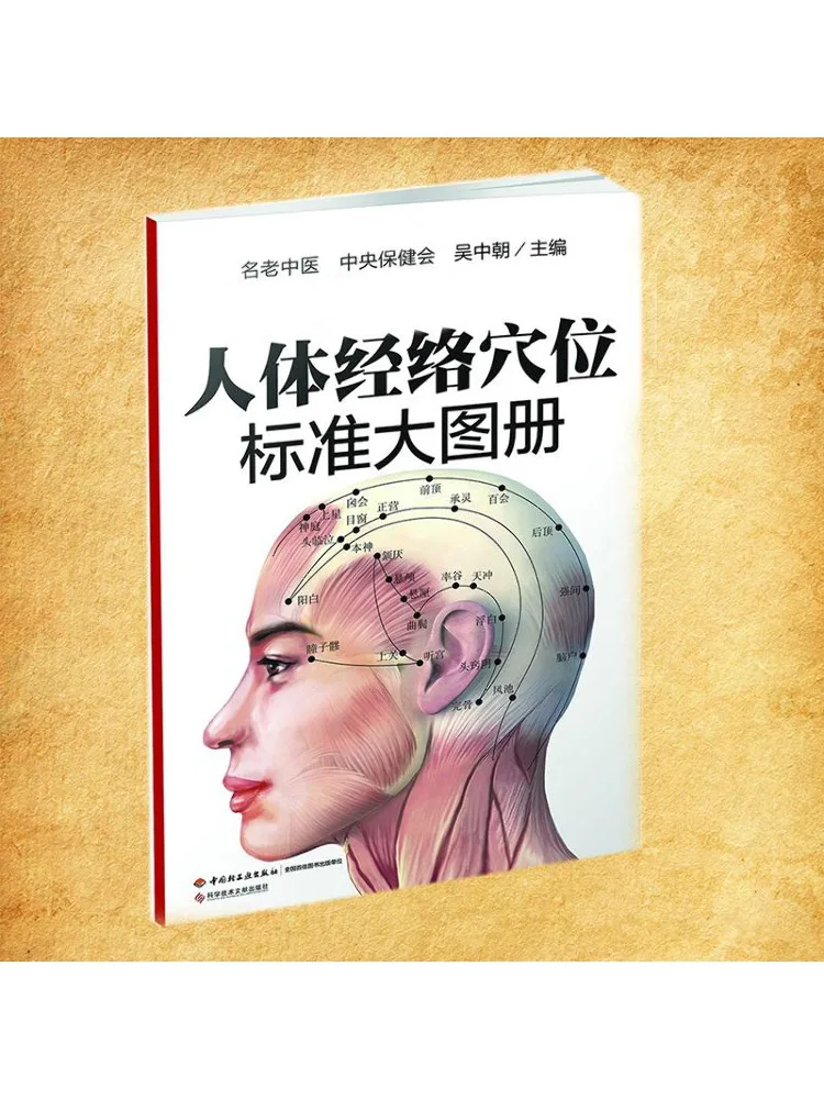 Стандартное изображение человеческих меридианов и книг акупунктурных точек Winshare
Стандартное изображение человеческих меридианов и книг акупунктурных точек Winshare