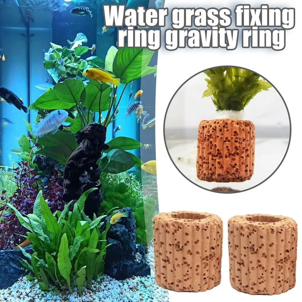 10/20Pcs Aquatic Water Plant Fixed Base For Aquarium Landscape Ceramic Plant Pot Decorations Fish Tank Accessories G0K3
10/20Pcs Aquatic Water Plant Fixed Base For Aquarium Landscape Ceramic Plant Pot Decorations Fish Tank Accessories G0K3