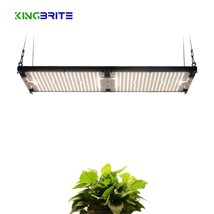 KingBrite led King Brite 240W Samsung lm301h 3000K/3500K/4000K led V4 Board Led Grow Light plant lamp
KingBrite led King Brite 240W Samsung lm301h 3000K/3500K/4000K led V4 Board Led Grow Light plant lamp