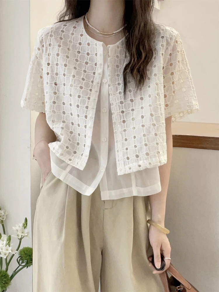 Korean Style Hollow out Hook Flower Mesh Shirt Women's Summer Design Elegant Short Sleeve Blouse Fashionable Straight Tube
Korean Style Hollow out Hook Flower Mesh Shirt Women's Summer Design Elegant Short Sleeve Blouse Fashionable Straight Tube