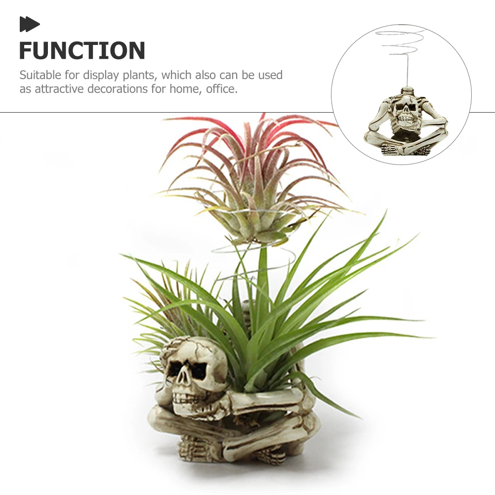 Pineapple Bracket Decorations Air Plant Holder Resin Skull Metal Rack Rustproof Home Office Wall Hanging Flower for Tillandsia
Pineapple Bracket Decorations Air Plant Holder Resin Skull Metal Rack Rustproof Home Office Wall Hanging Flower for Tillandsia