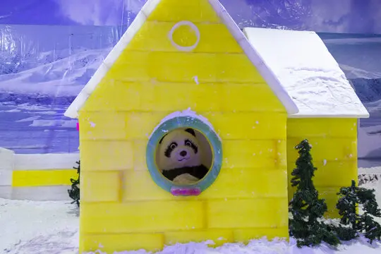 Steel Metal Front Rear Drive Shaft CVD Driveshaft M5902 M5903 for Remo 1/10 RC Car Upgrade Parts
Steel Metal Front Rear Drive Shaft CVD Driveshaft M5902 M5903 for Remo 1/10 RC Car Upgrade Parts