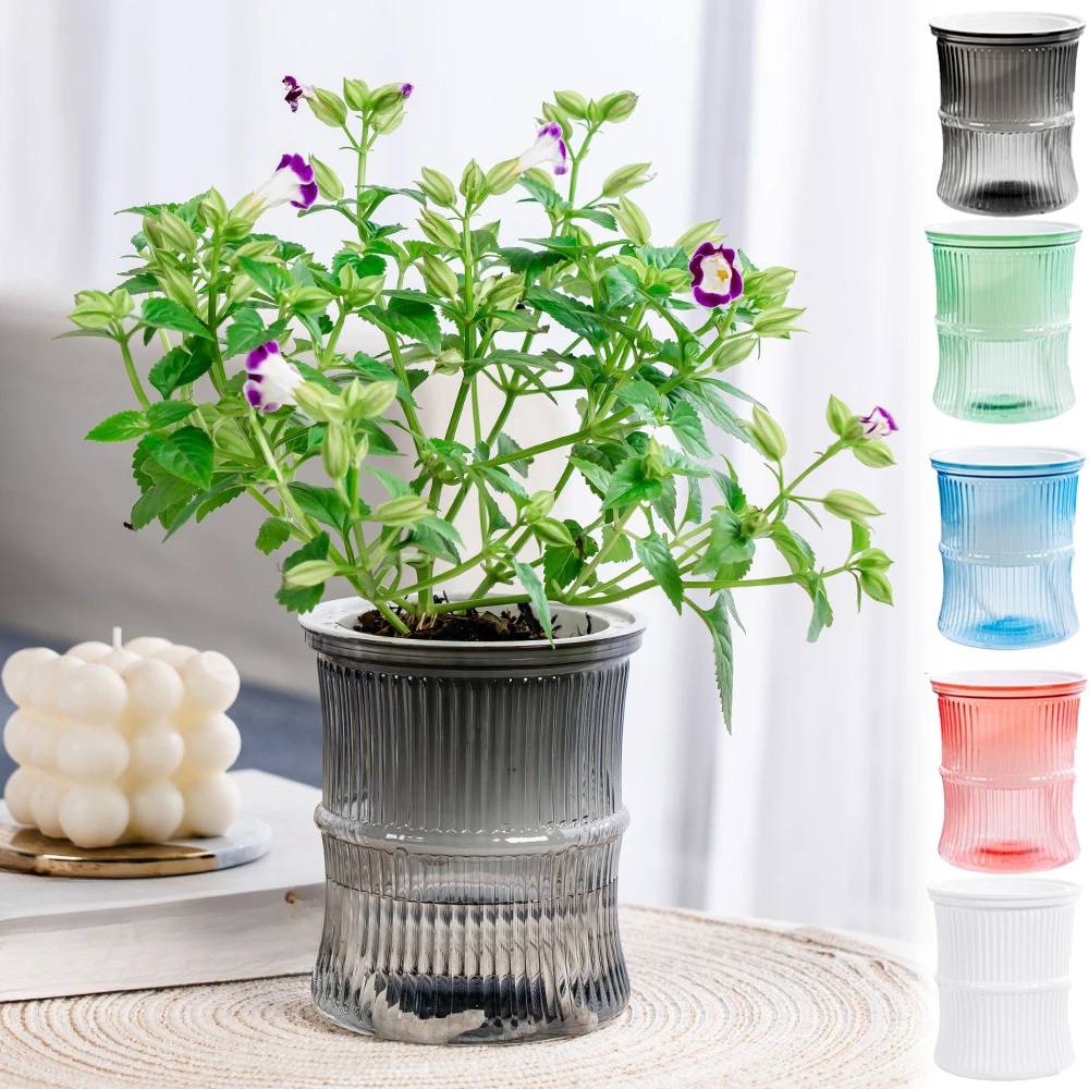 Self Watering Flowerpot Automatic Water Absorbing Flowerpot Convenience Saves Time Room Home Office Desktop Decor Flower Pots
Self Watering Flowerpot Automatic Water Absorbing Flowerpot Convenience Saves Time Room Home Office Desktop Decor Flower Pots