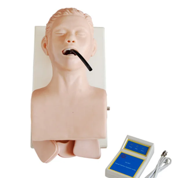 Заводская электронная силиконовая анатомическая модель для обучения интубации дыхательных путей человека, материал ПВХ с электронной сигнализацией
Заводская электронная силиконовая анатомическая модель для обучения интубации дыхательных путей человека, материал ПВХ с электронной сигнализацией