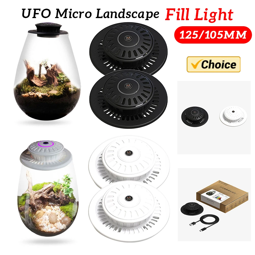 Desktop Miniature Plant Light 6500K Glass Terrarium Plant Growing Lamp Plant Grow Light for Indoor Plants Succulents Mini Bonsai
Desktop Miniature Plant Light 6500K Glass Terrarium Plant Growing Lamp Plant Grow Light for Indoor Plants Succulents Mini Bonsai