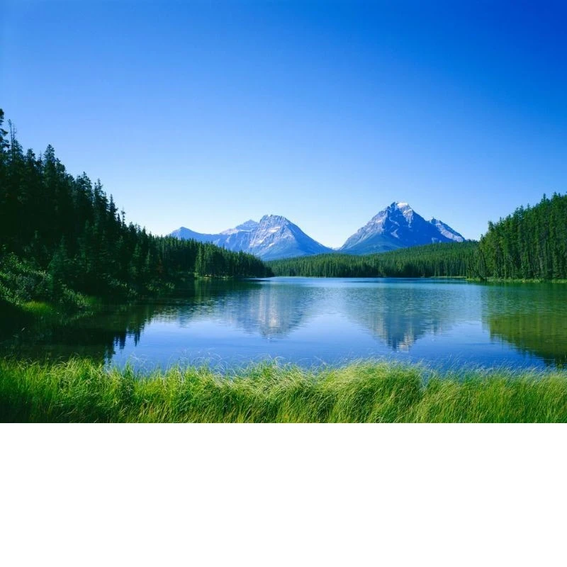 Outdoor Full Car Cover For Volvo XC90 with Reflective Strips Waterproof Snowproof Dustproof UV Protection Auto Accessories
Outdoor Full Car Cover For Volvo XC90 with Reflective Strips Waterproof Snowproof Dustproof UV Protection Auto Accessories