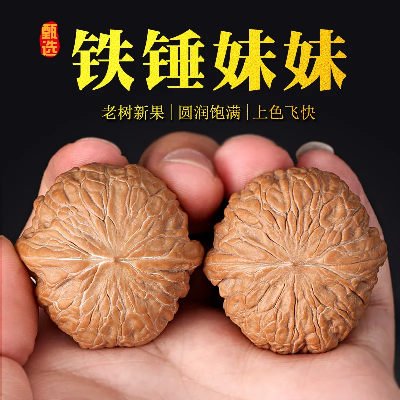 Premium Hand Played Walnut Tiechui Meimei Hand Finished 50 Year Old Mountain Tree Walnut Pair Well Shaped Lucky Fortune Blessing
Premium Hand Played Walnut Tiechui Meimei Hand Finished 50 Year Old Mountain Tree Walnut Pair Well Shaped Lucky Fortune Blessing