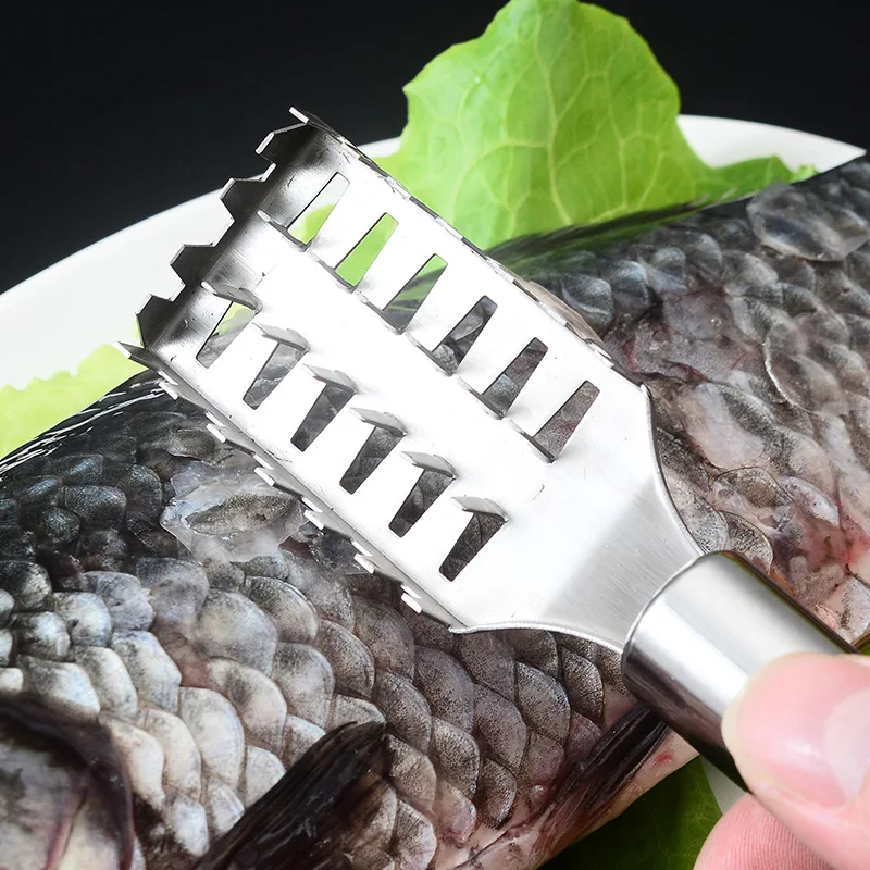 Stainless Steel Fish Scale Knife Scale Scraper Sawtooth Scraping Boning Filleting Cut Scrape Dig Maw Knife
Stainless Steel Fish Scale Knife Scale Scraper Sawtooth Scraping Boning Filleting Cut Scrape Dig Maw Knife