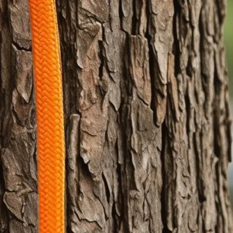 1/2In X 10ft Steel Wire Core Flipline Kit with Triple Lock Carabiner Adjustable Positioning Rope Outdoors Mountaineering Rope
1/2In X 10ft Steel Wire Core Flipline Kit with Triple Lock Carabiner Adjustable Positioning Rope Outdoors Mountaineering Rope