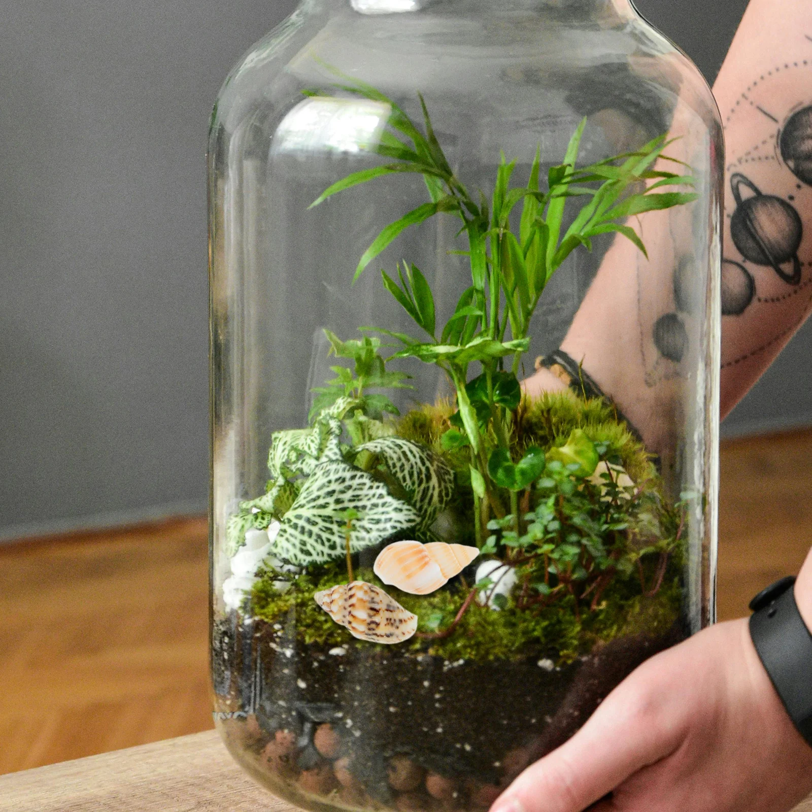 50Pcs Mini Seashells Realistic DIY Craft Decor for Micro Landscape Beach Props Small Shells for Crafting Bathroom Ornament
50Pcs Mini Seashells Realistic DIY Craft Decor for Micro Landscape Beach Props Small Shells for Crafting Bathroom Ornament