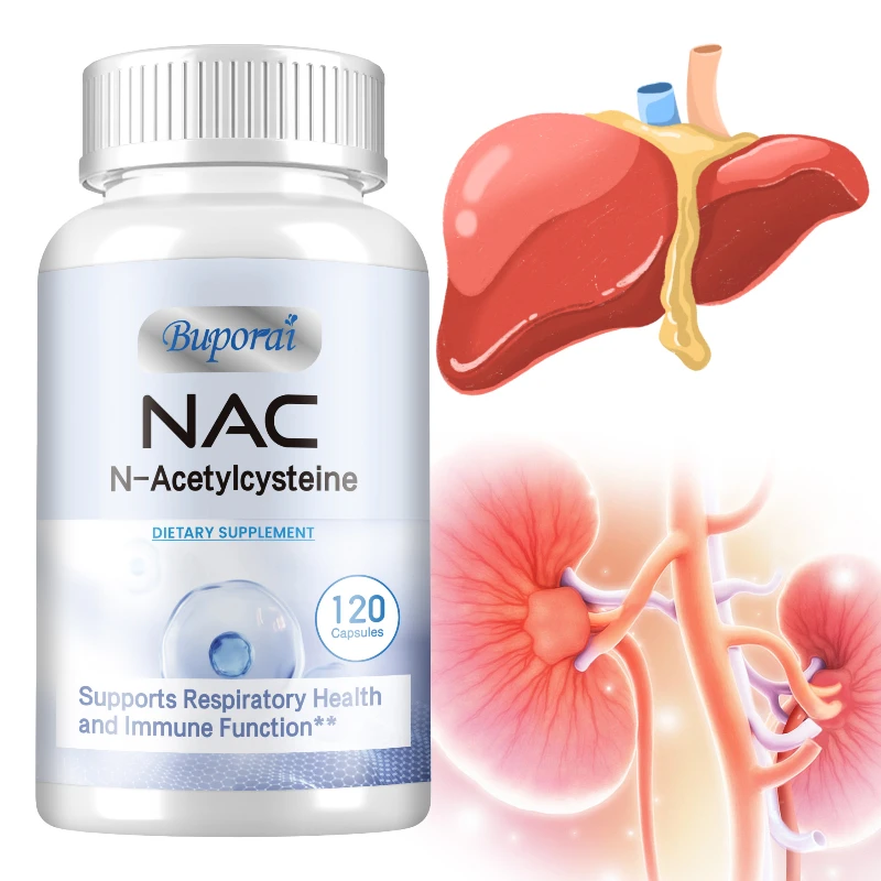 NAC - N-Acetylcysteine - Supports Immune Cell Production and Promotes Respiratory and Liver Health - 120 Capsules
NAC - N-Acetylcysteine - Supports Immune Cell Production and Promotes Respiratory and Liver Health - 120 Capsules