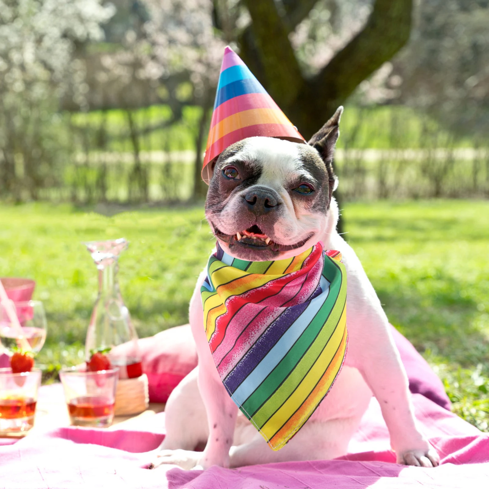 Pet Triangle Towel Rainbow Stripe Dog Bandana Cat Scarf Party Outfit Boy Supplies Triangular Decor Adjustable Bright Color Easy
Pet Triangle Towel Rainbow Stripe Dog Bandana Cat Scarf Party Outfit Boy Supplies Triangular Decor Adjustable Bright Color Easy