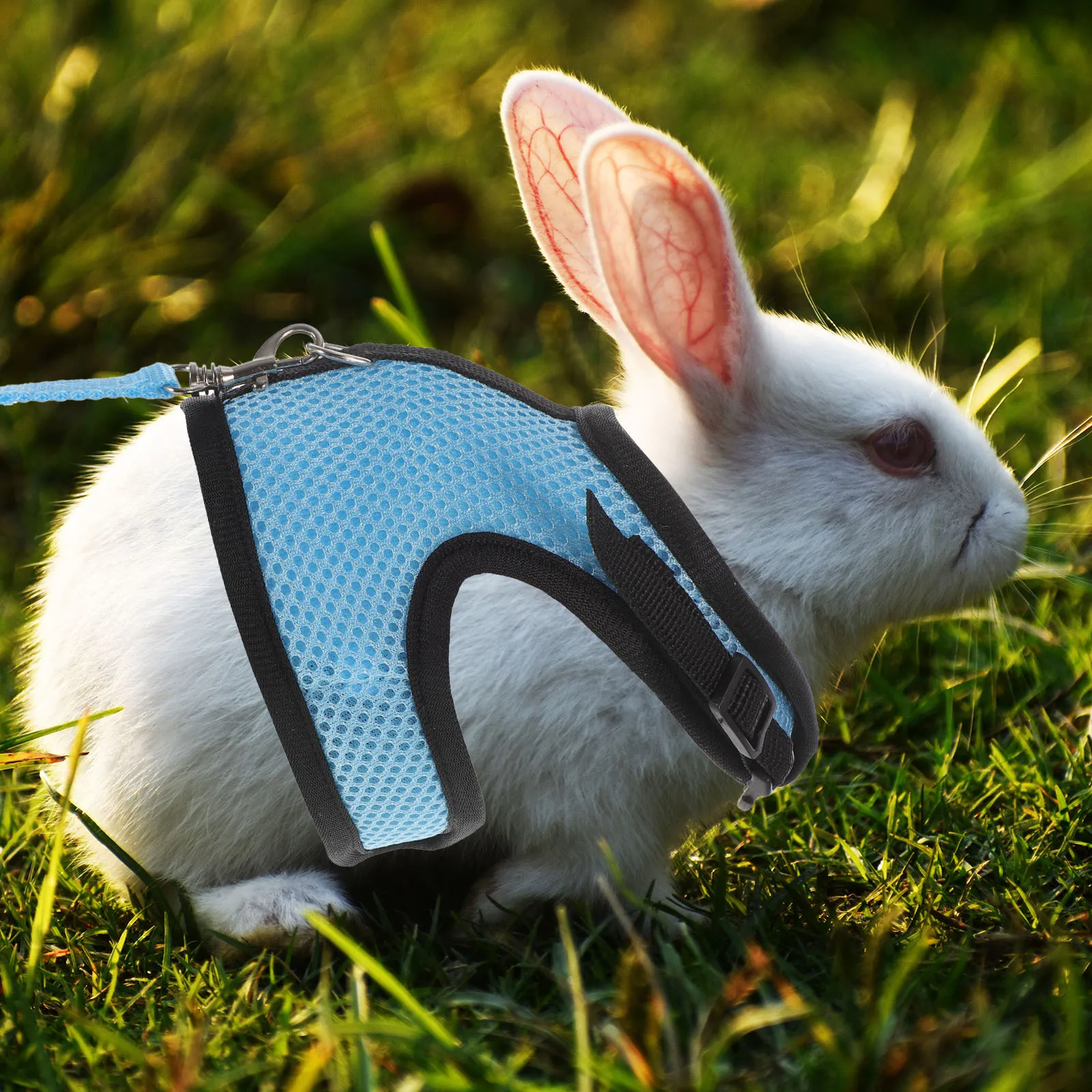 1 Set Of Thickened Small Pet Leash Rabbit Harness Guinea Pig Traction Rope Durable Cloth Walk Outdoor Portable Hamster Leash
1 Set Of Thickened Small Pet Leash Rabbit Harness Guinea Pig Traction Rope Durable Cloth Walk Outdoor Portable Hamster Leash