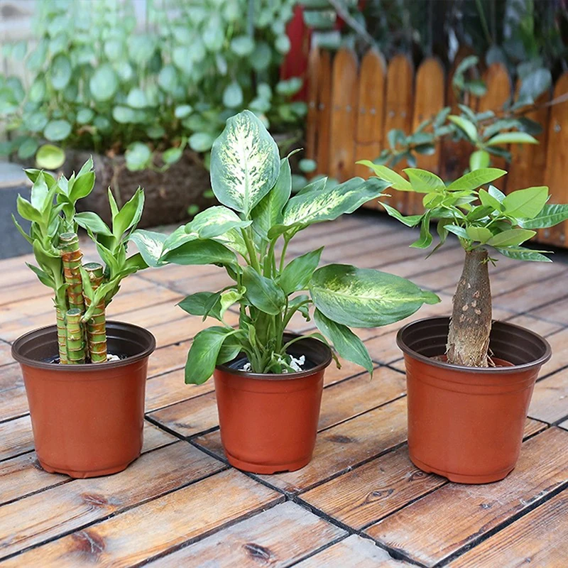 Horticultural Plastic Flowerpots Seedling POTS Garden Planting POTS Garden Greenhouse Planting POTS Good Breathability
Horticultural Plastic Flowerpots Seedling POTS Garden Planting POTS Garden Greenhouse Planting POTS Good Breathability