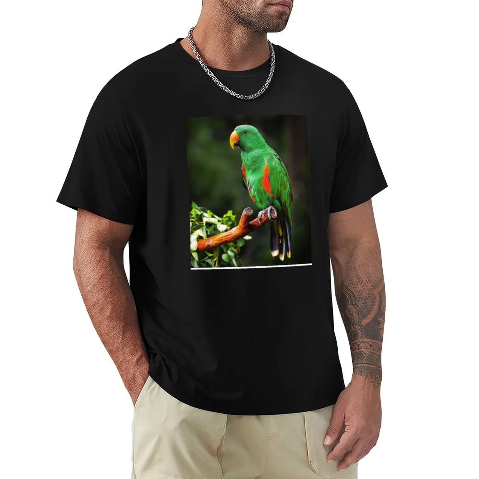 Green Eclectus Bird T-Shirt customs croswit shirt man quick drying summer tops T-shirt men
Green Eclectus Bird T-Shirt customs croswit shirt man quick drying summer tops T-shirt men