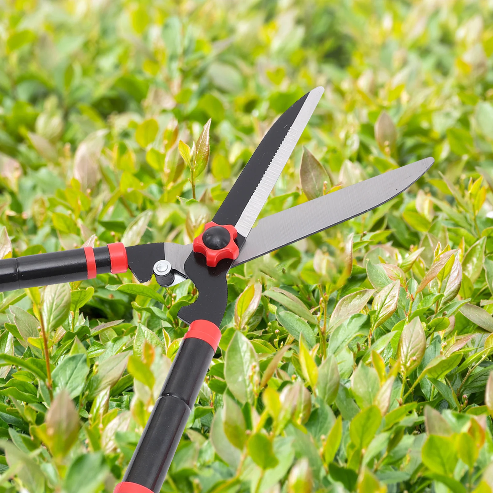 Sk5 Steel Hedge Trimmer Shears Rubber Grip Handle Anti for Extended Trimming Range Gardening Tool
Sk5 Steel Hedge Trimmer Shears Rubber Grip Handle Anti for Extended Trimming Range Gardening Tool