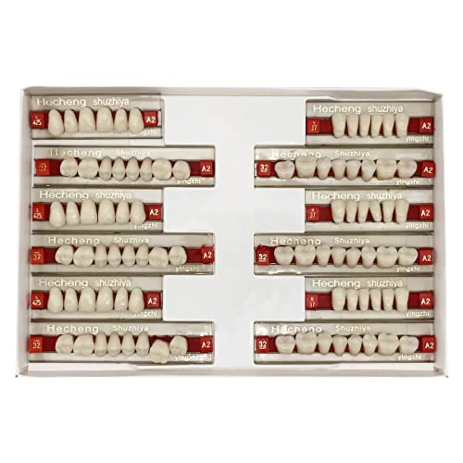 84 Pcs False Teeth Dental Complete Acrylic Resin Denture Teeth, 3 Sets Whole Teeth Synthetic Polymer Denture Tooth, 23 Shade A2
84 Pcs False Teeth Dental Complete Acrylic Resin Denture Teeth, 3 Sets Whole Teeth Synthetic Polymer Denture Tooth, 23 Shade A2