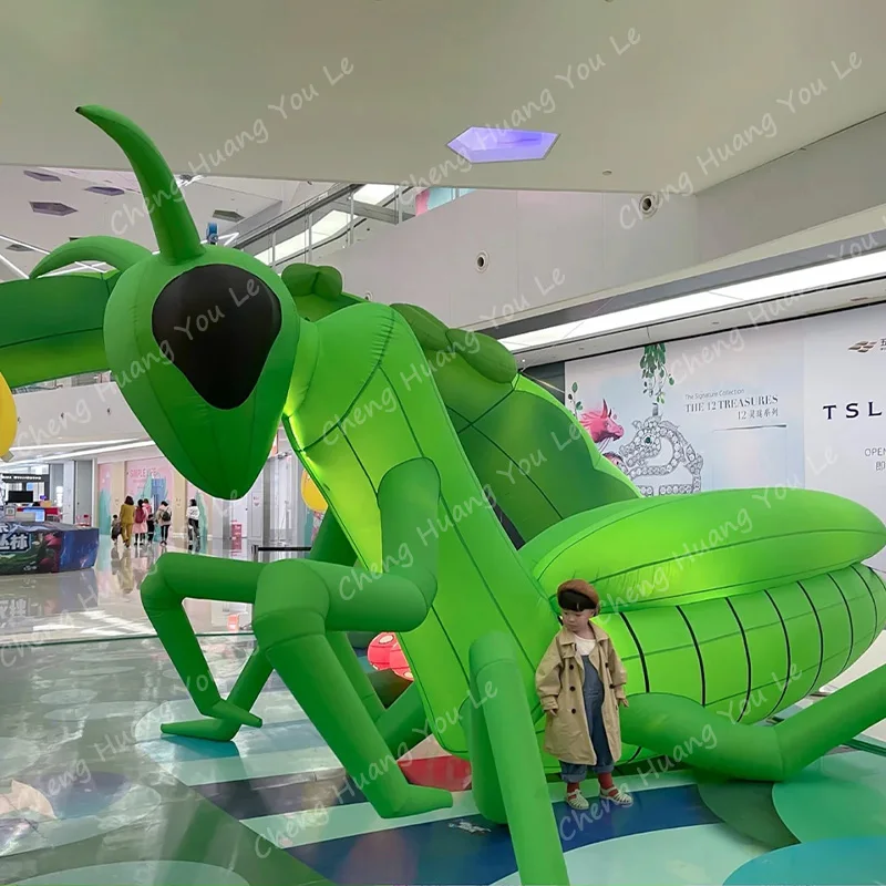 Realistic insect inflatable mantis giant customize climbing animal with white light
Realistic insect inflatable mantis giant customize climbing animal with white light