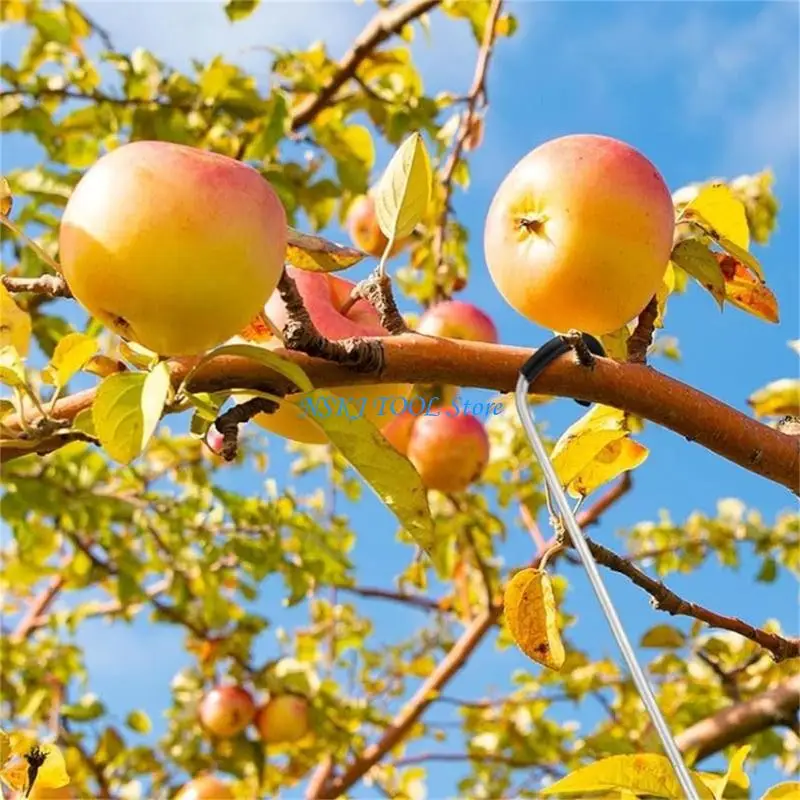 L8RC Ergonomic Fruit Tree Training Clips With Plastic Coating Safe Branch Angled Adjustment Suitable For Commercial Orchards
L8RC Ergonomic Fruit Tree Training Clips With Plastic Coating Safe Branch Angled Adjustment Suitable For Commercial Orchards