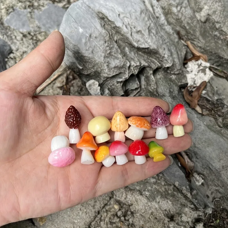 1pcs Miniature Realistic Mushroom Statues - Resin Colorful Small Fungi Figures Suitable for DIY Fairy Gardens, Terrariums, Dioramas, Dollhouse Decor, Tiny Landscape Decorations with Caps & Stems
1pcs Miniature Realistic Mushroom Statues - Resin Colorful Small Fungi Figures Suitable for DIY Fairy Gardens, Terrariums, Dioramas, Dollhouse Decor, Tiny Landscape Decorations with Caps & Stems