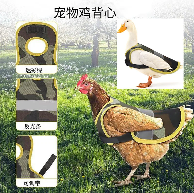 Chicken Clothes Reflective Vest Chicken Duck Goose Autumn and Winter Protective Clothing Night Fluorescent Feather Protective
Chicken Clothes Reflective Vest Chicken Duck Goose Autumn and Winter Protective Clothing Night Fluorescent Feather Protective