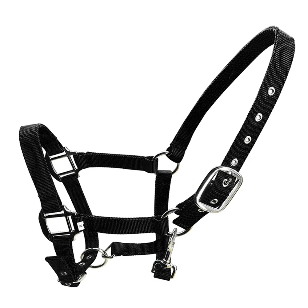 Halters Halter Horse Halters Horse Halter 1 Width Nylon S M L Stylish 25mm Strap Width Adjustable Collar And Nose
Halters Halter Horse Halters Horse Halter 1 Width Nylon S M L Stylish 25mm Strap Width Adjustable Collar And Nose