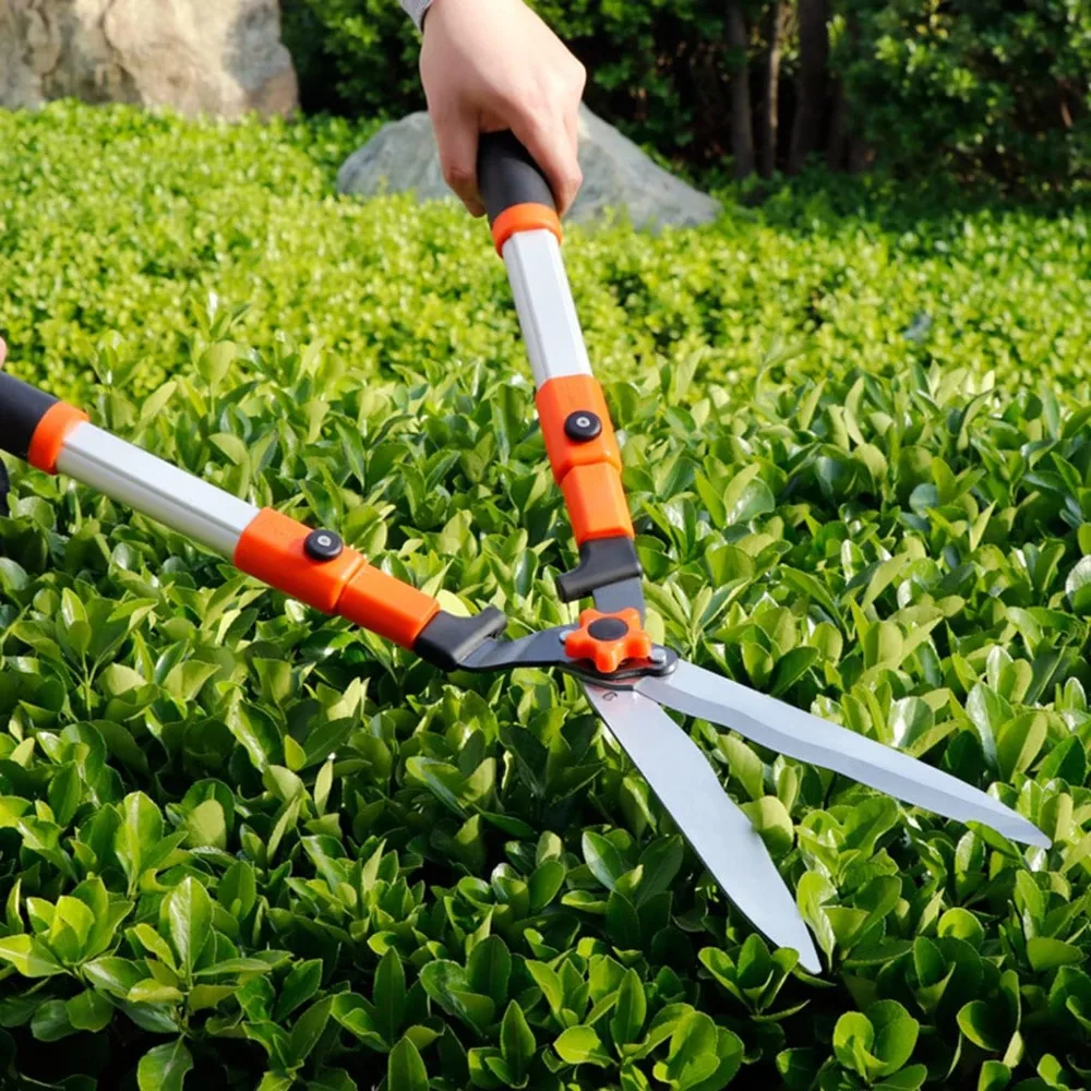 High-Strength Steel Lawn Shears Fruit Tree Garden Pruning Shears Garden Shears Hedge Pruning Shears/Extended Retractable
High-Strength Steel Lawn Shears Fruit Tree Garden Pruning Shears Garden Shears Hedge Pruning Shears/Extended Retractable