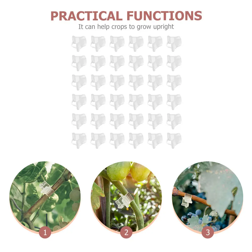 100Pcs Plant Grafting Clips Sturdy Plastic Stem Support Clamp Garden Sapling Fixing Clip Horticultural Grafting Tool
100Pcs Plant Grafting Clips Sturdy Plastic Stem Support Clamp Garden Sapling Fixing Clip Horticultural Grafting Tool