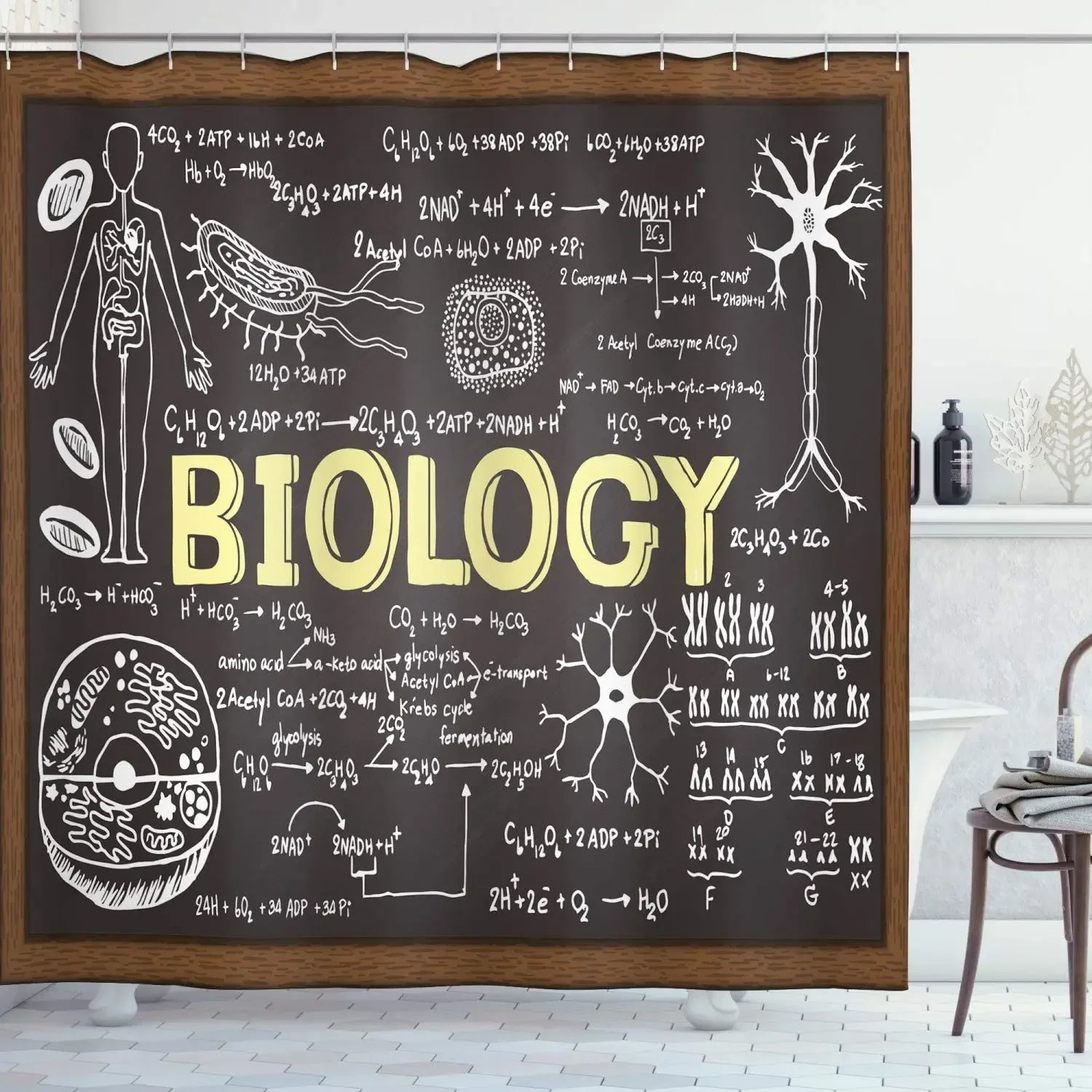Black Chalkboard Biology Hand Written School Classroom Cloth Fabric Bathroom Decor Set with Hooks
Black Chalkboard Biology Hand Written School Classroom Cloth Fabric Bathroom Decor Set with Hooks