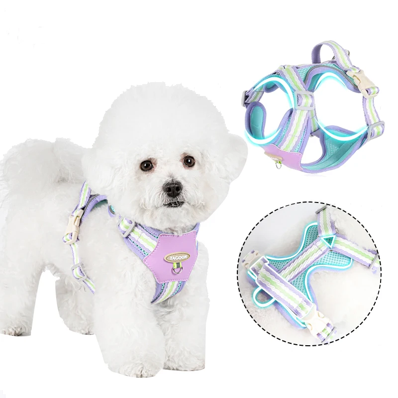Lightweight Adjustable Dog Chest and Back Walking Harness Leash Vest Style With Reflective Strap For Puppy Dog Outdoor Supplies
Lightweight Adjustable Dog Chest and Back Walking Harness Leash Vest Style With Reflective Strap For Puppy Dog Outdoor Supplies