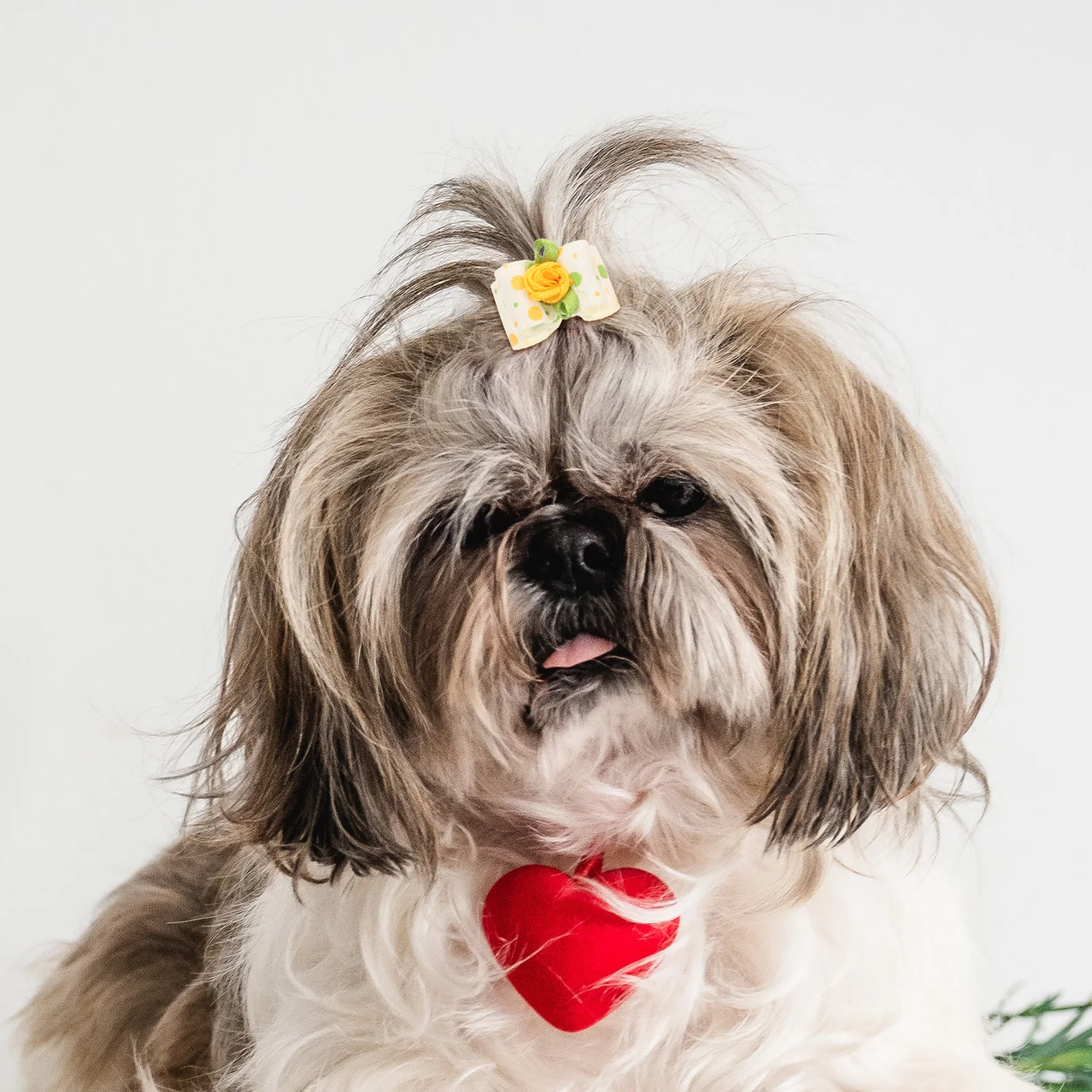10pcs Rope Clips for Dog Pet Holder Rope Stylish Thin Bow Bowknot Ring Hairpin Thick Hair Dog Hair Decor Holder
10pcs Rope Clips for Dog Pet Holder Rope Stylish Thin Bow Bowknot Ring Hairpin Thick Hair Dog Hair Decor Holder
