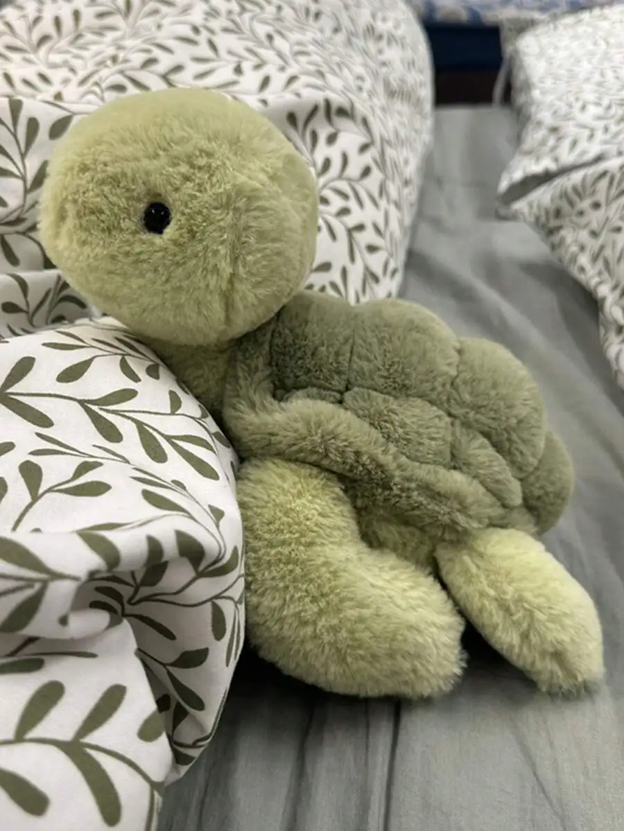 28cm/11.02in Cute Soft Turtle Plush Toy, Kawaii Stuffed Sea Turtle Doll for Home Decor & Creative Gift
28cm/11.02in Cute Soft Turtle Plush Toy, Kawaii Stuffed Sea Turtle Doll for Home Decor & Creative Gift