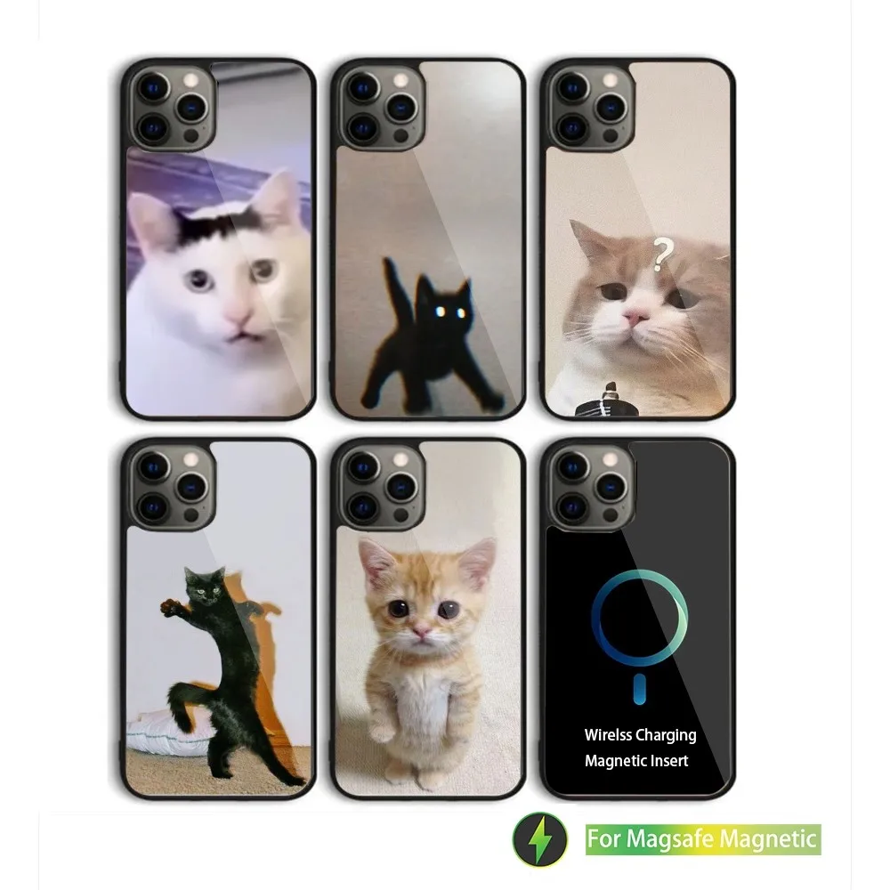 Cat Memes Phone Case For iPhone 15,14,13,12,11,Plus,Pro,Max Mini Magsafe Magnetic Wireless Charging
Cat Memes Phone Case For iPhone 15,14,13,12,11,Plus,Pro,Max Mini Magsafe Magnetic Wireless Charging