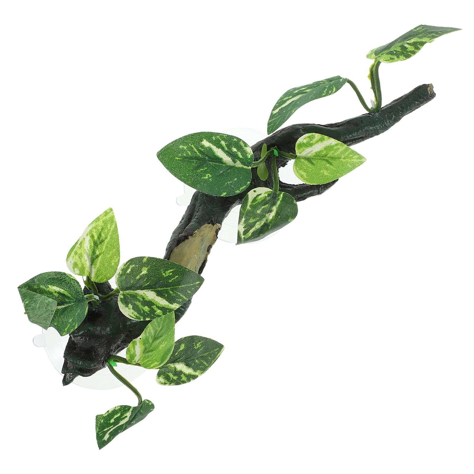 Resin Plants Simulated Branches for Terrarium Decor Vivid Realistic Look Strong Base Easy Care Aquarium Fish Tank Crab
Resin Plants Simulated Branches for Terrarium Decor Vivid Realistic Look Strong Base Easy Care Aquarium Fish Tank Crab