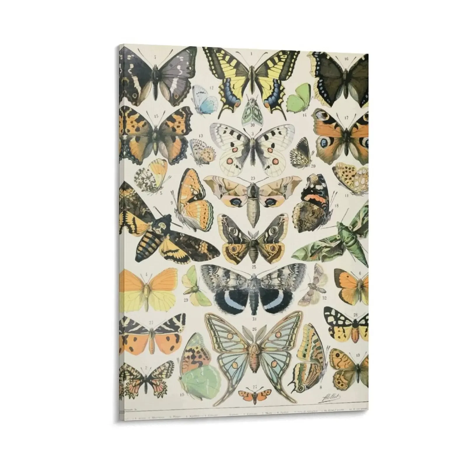 Adolphe Millot papillons A Canvas Painting decorative wall poster home decoration accessories aesthetic room decoration
Adolphe Millot papillons A Canvas Painting decorative wall poster home decoration accessories aesthetic room decoration