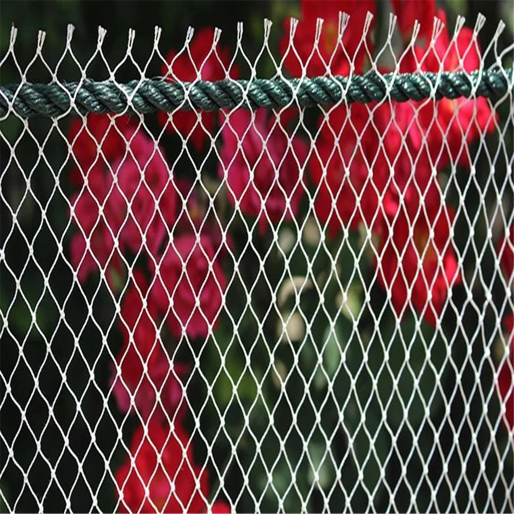 White nylon net Safety nets and cat nets for balconies and stairs Home decoration net Wedding decoration net Fishing net
White nylon net Safety nets and cat nets for balconies and stairs Home decoration net Wedding decoration net Fishing net