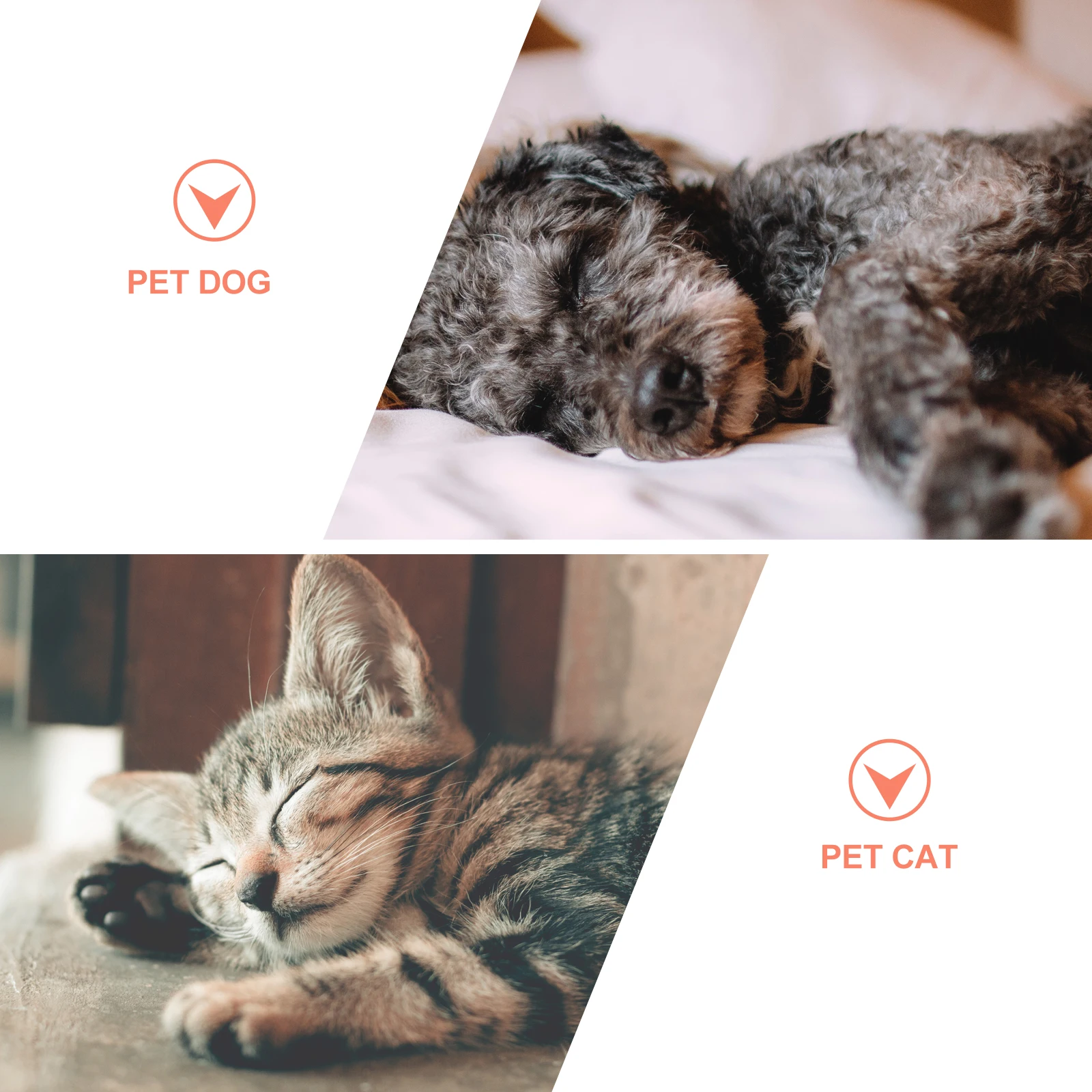 1Pcs Pet Water Dispenser 500ml Capacity Automatic Feeder Stable Design Suitable for Dogs Cats Pigeons Pet Water Dispenser
1Pcs Pet Water Dispenser 500ml Capacity Automatic Feeder Stable Design Suitable for Dogs Cats Pigeons Pet Water Dispenser