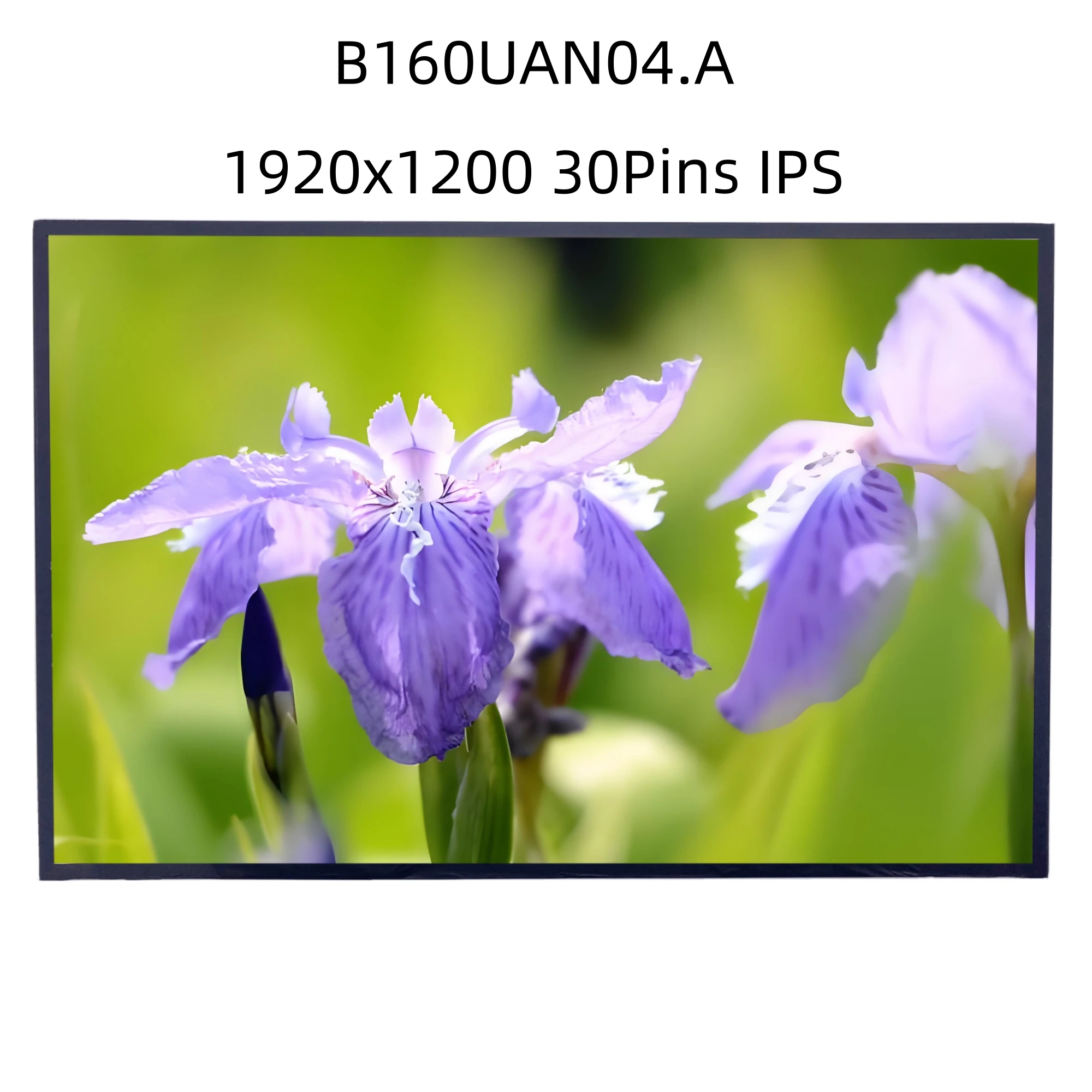B160UAN04.A 16.0 inch Laptop LCD screen 1920x1200 60HZ IPS
B160UAN04.A 16.0 inch Laptop LCD screen 1920x1200 60HZ IPS