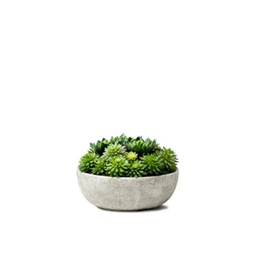 Echeveria Succulent Mix in Bowl for Weddings and Home Decor Real-Looking Green Succulent Decoration 10in Diameter x 7in High So
Echeveria Succulent Mix in Bowl for Weddings and Home Decor Real-Looking Green Succulent Decoration 10in Diameter x 7in High So
