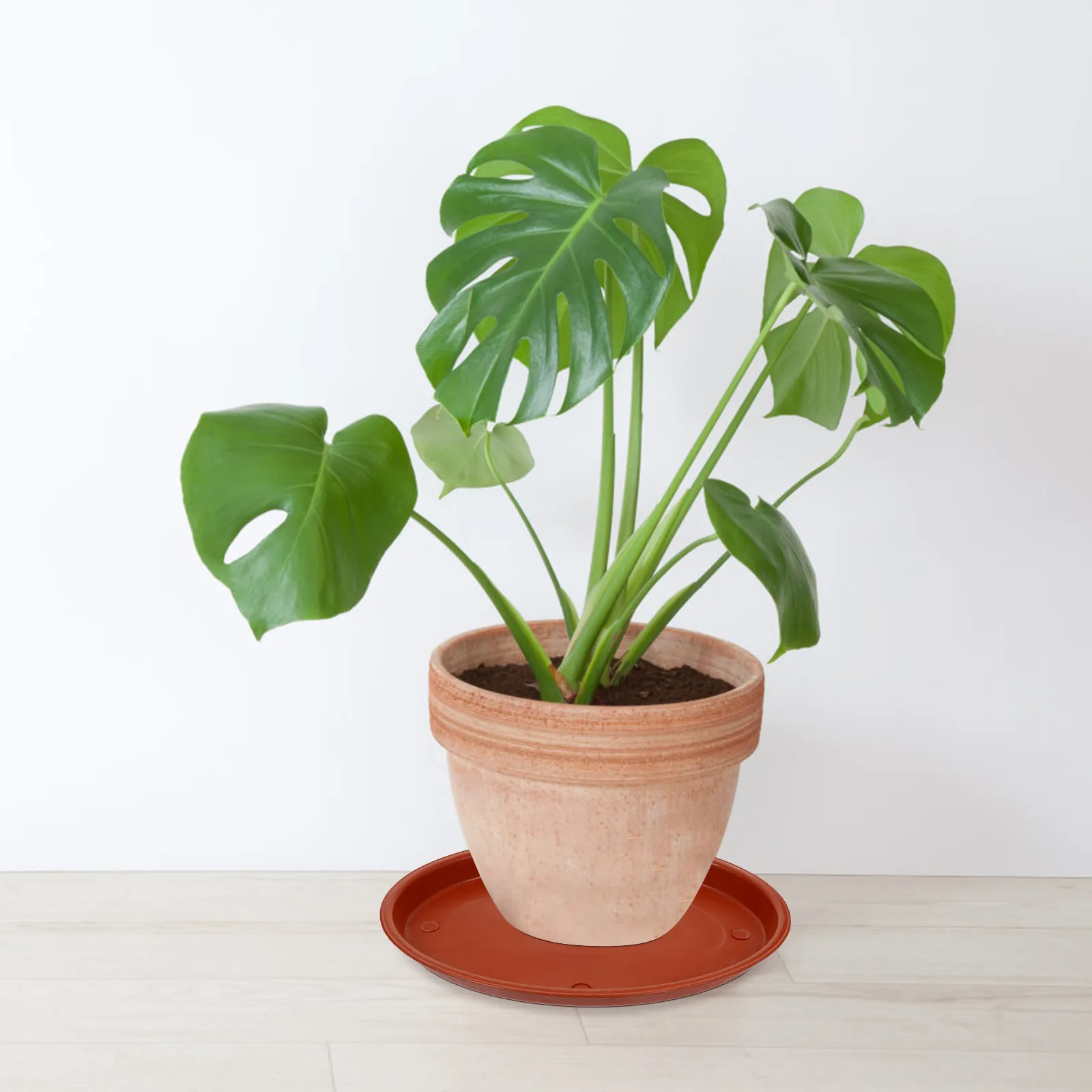 5Pcs High Quality Oval Flowerpot Tray Set Plastic Plant Pot Baseplate with Water Absorption Feature for Home Garden Bonsai
5Pcs High Quality Oval Flowerpot Tray Set Plastic Plant Pot Baseplate with Water Absorption Feature for Home Garden Bonsai