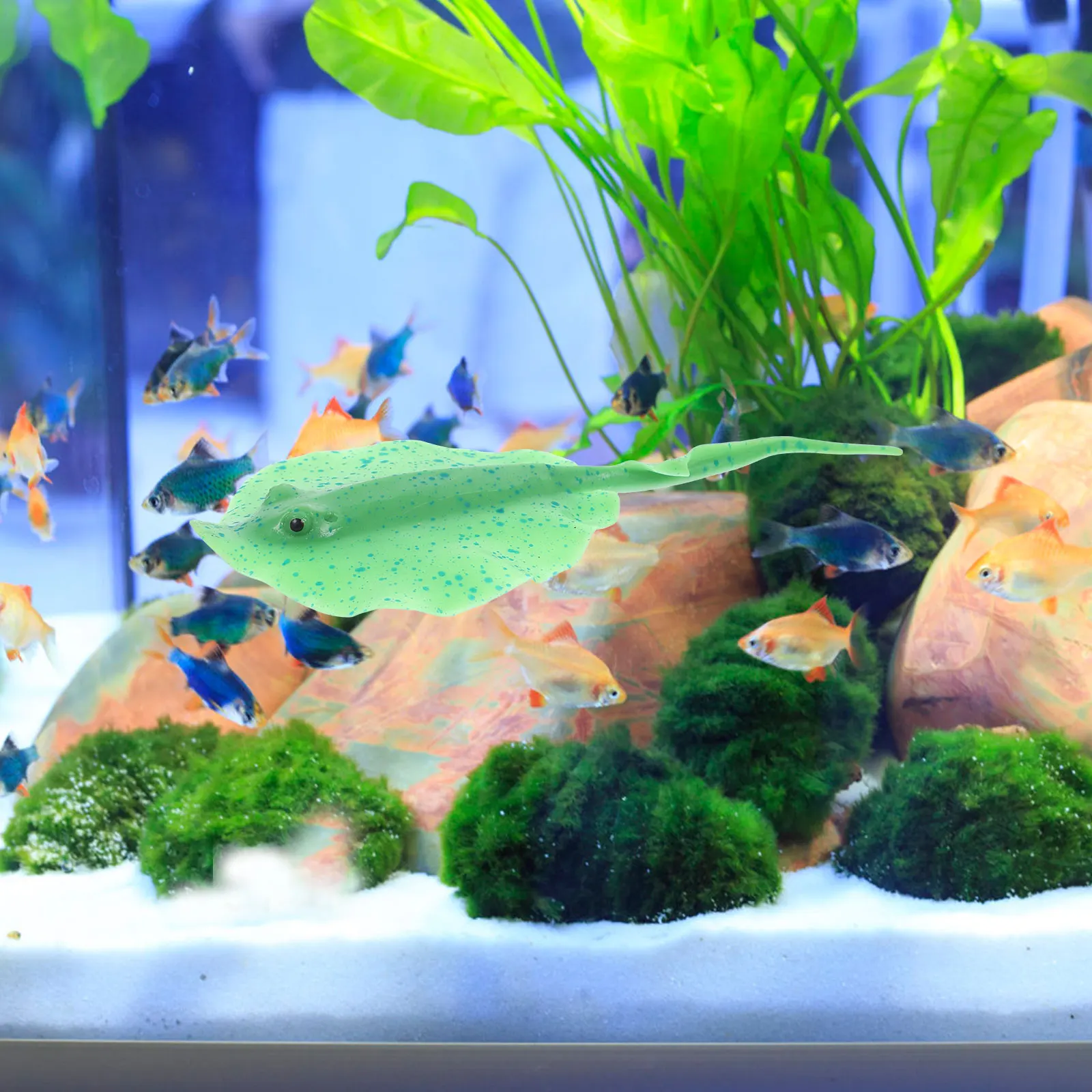 Simulated Ray Decoration Fish Tank Realistic Aquarium Ornaments Vivid Decorative Model Home Office Table Top Wedding Gift
Simulated Ray Decoration Fish Tank Realistic Aquarium Ornaments Vivid Decorative Model Home Office Table Top Wedding Gift