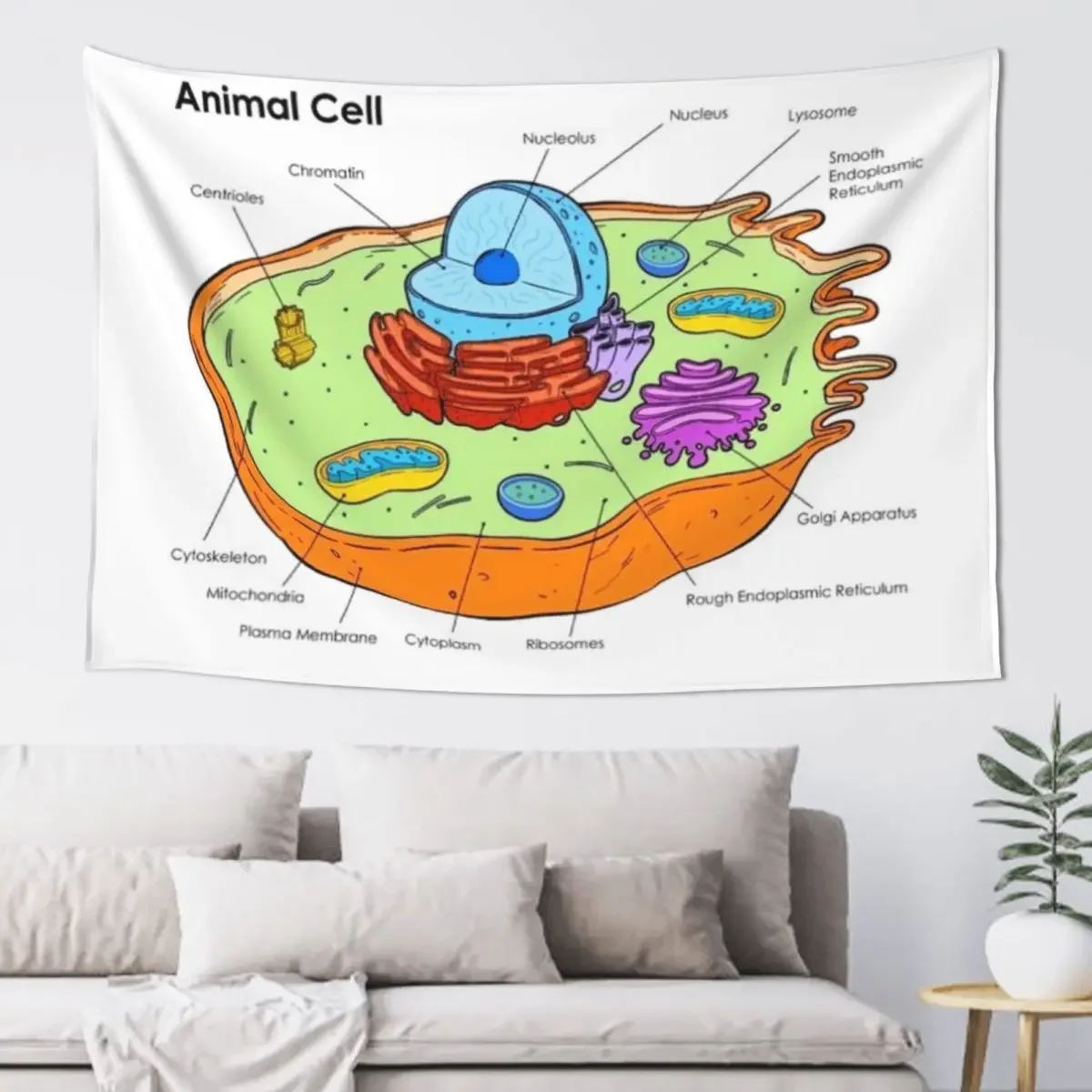 Animal Cell - Biology Tapestry Wall Coverings Bedroom Decor Aesthetic Room Decor For Girls Home Decorating Tapestry
Animal Cell - Biology Tapestry Wall Coverings Bedroom Decor Aesthetic Room Decor For Girls Home Decorating Tapestry