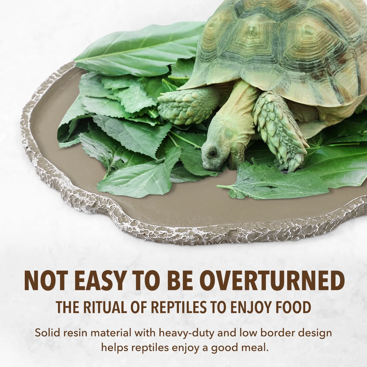 Reptile Feeding Bowl Resin Non-Tip Pets Feeding Plate Easy Clean for Turtle Lizard Scorpion Snake Breeding Tray Supply
Reptile Feeding Bowl Resin Non-Tip Pets Feeding Plate Easy Clean for Turtle Lizard Scorpion Snake Breeding Tray Supply