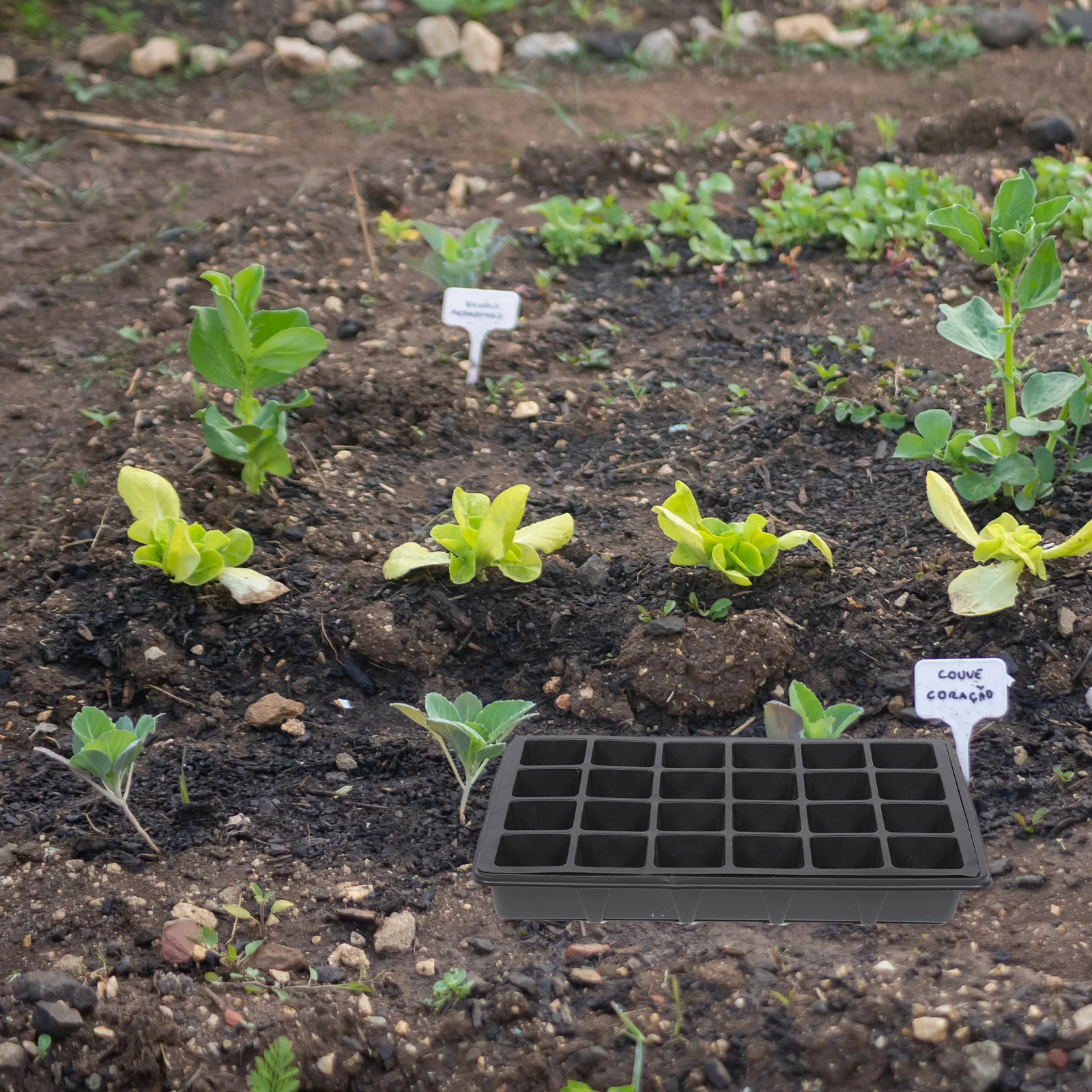 2 шт., 24 пластиковых ящика для проращивания, садовый поднос для детской, водонепроницаемый контейнер для посадки, стартовый чехол для овощей и цветов 
2 шт., 24 пластиковых ящика для проращивания, садовый поднос для детской, водонепроницаемый контейнер для посадки, стартовый чехол для овощей и цветов