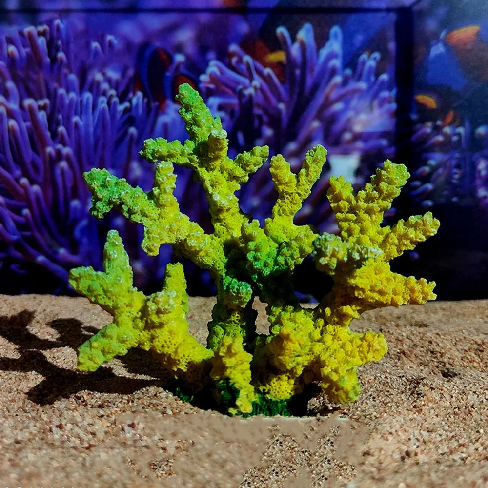 Colorful Simulation Coral Model Unique Realistic Artificial Coral Ornament Handmade Resin Craft Fake Coral Statue
Colorful Simulation Coral Model Unique Realistic Artificial Coral Ornament Handmade Resin Craft Fake Coral Statue