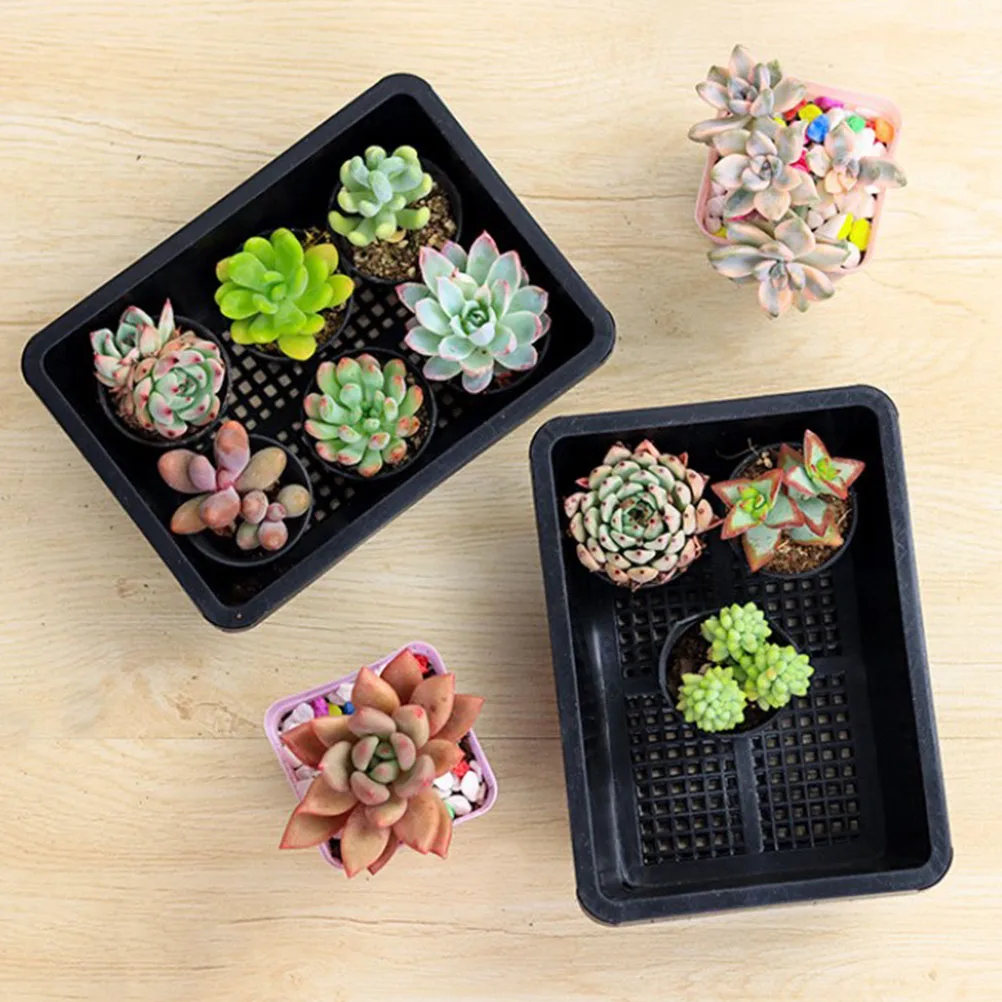 5 Pcs PP Nursery Pot Breeding Starter Seedling Growing Box Ventilation Drainage Safe Smooth Practical for Small
5 Pcs PP Nursery Pot Breeding Starter Seedling Growing Box Ventilation Drainage Safe Smooth Practical for Small